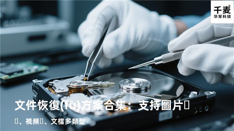 文件恢復(fù)方案合集：支持圖片、視頻、文檔多類型 